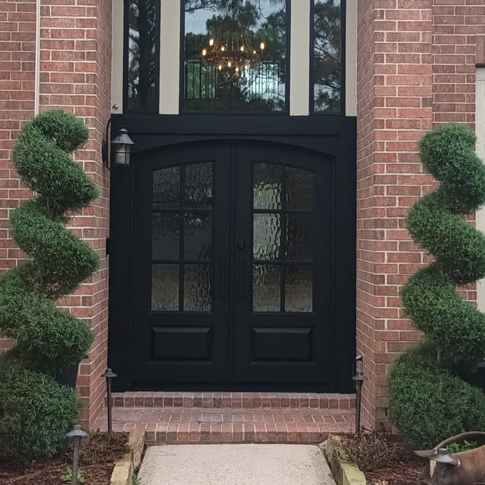 forest landscape b&w