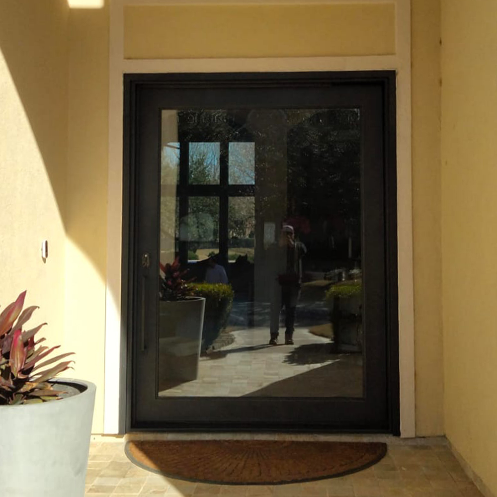 forest landscape b&w